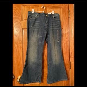 AE Early 2000’s Real Flare Stretch Medium Antique Wash low Rise Jeans